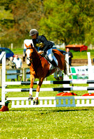 Scotsburn Horse trials BE100 Showjumping