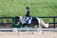 Rockrose Equestrian 21 May 9-10