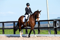 Rockrose Equestrian Dressage 13 April 17.00 - 18.00
