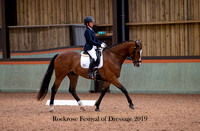 Festival of Dressage 8th 18-19