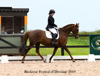 Festival of Dressage 8th 16-17