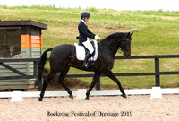 Festival of Dressage 8th 14-15