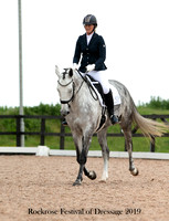 Festival of Dressage 8th 12-13