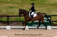 Festival of Dressage 8th 10-11