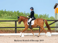 Festival of Dressage 9th 18-19