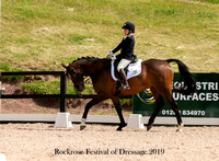Festival of Dressage 9th 11-12