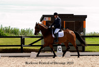 Festival of Dressage 9th 10-11